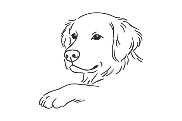 Download Cute Golden Retriever - Gold Collection