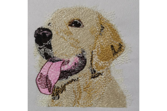 Download Golden Retriever - Gold Collection